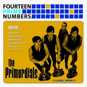 FOURTEEN PRIME NUMBERS