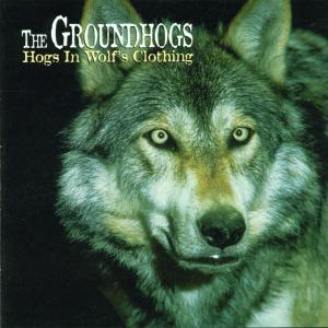HOGS IN WOLFS CLOTHING