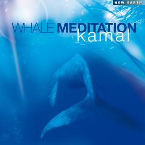 WHALE MEDIDATION