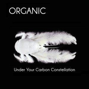 Under Your Carbon Constellatio