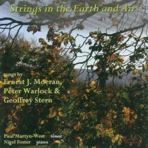 STRINGS IN THE EARTH AND